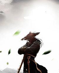 摸金笔记电视剧免费观看